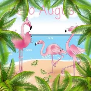 Meet your Posher, Judy